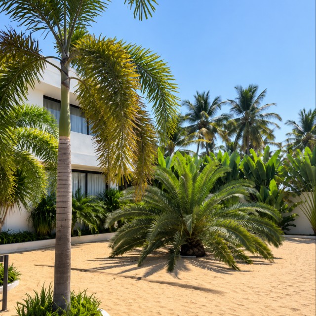 Bambu Beach House – photo 7