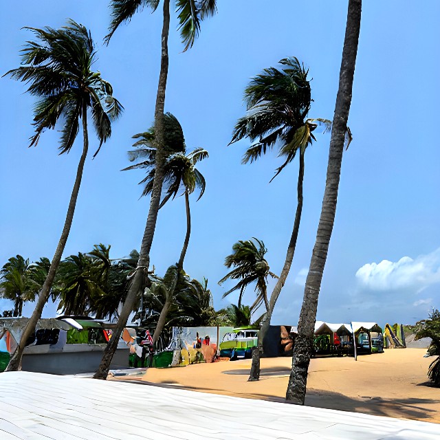 Cove Beach Resort – photo 14