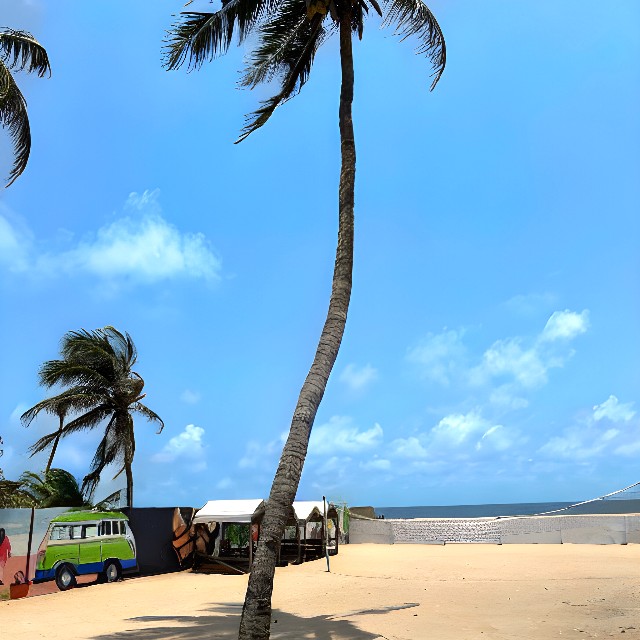Cove Beach Resort – photo 15
